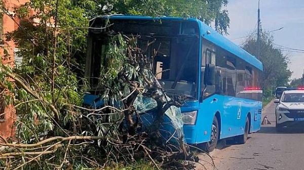 Автобус врезался в дерево в Серпухове