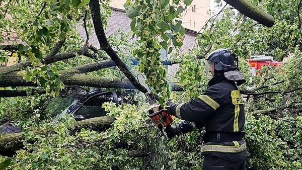 В Петербурге погибла женщина в результате падения дерева из-за урагана